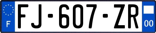 FJ-607-ZR