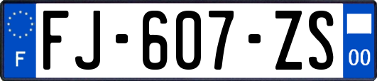 FJ-607-ZS