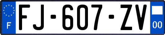 FJ-607-ZV