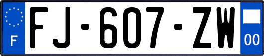 FJ-607-ZW