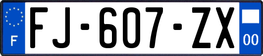 FJ-607-ZX