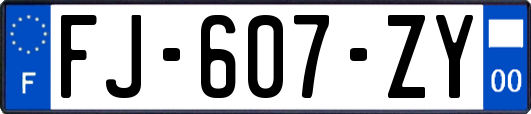 FJ-607-ZY