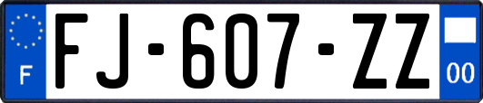 FJ-607-ZZ