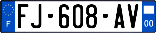 FJ-608-AV