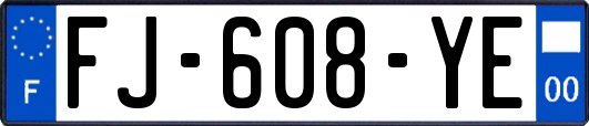 FJ-608-YE