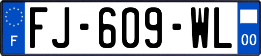 FJ-609-WL