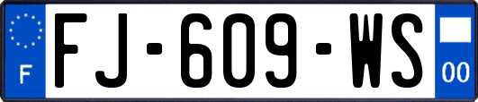 FJ-609-WS