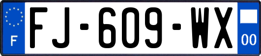 FJ-609-WX