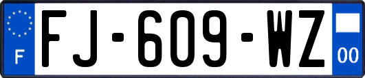 FJ-609-WZ