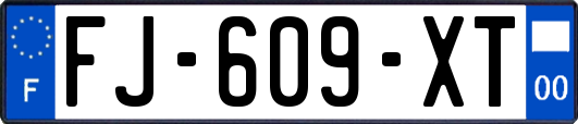 FJ-609-XT