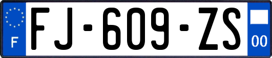 FJ-609-ZS