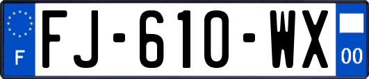 FJ-610-WX