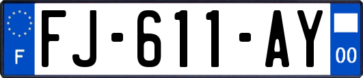 FJ-611-AY