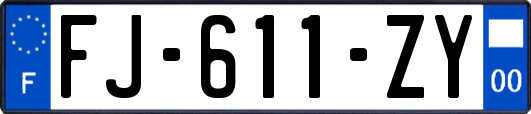 FJ-611-ZY