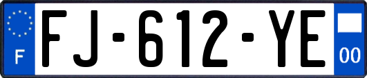 FJ-612-YE