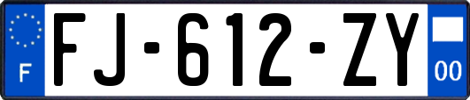 FJ-612-ZY