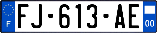 FJ-613-AE