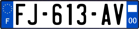 FJ-613-AV