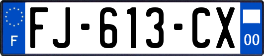 FJ-613-CX