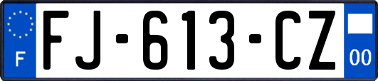 FJ-613-CZ