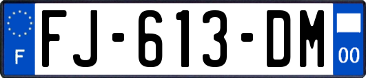 FJ-613-DM