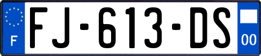 FJ-613-DS