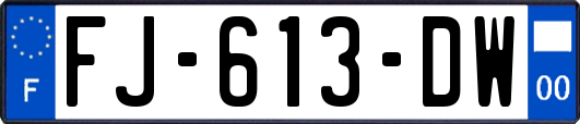 FJ-613-DW
