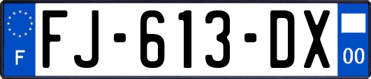 FJ-613-DX