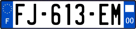 FJ-613-EM