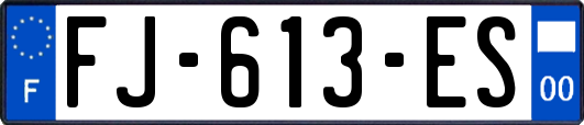 FJ-613-ES