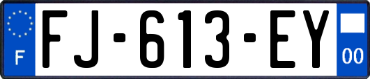 FJ-613-EY
