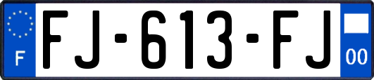 FJ-613-FJ