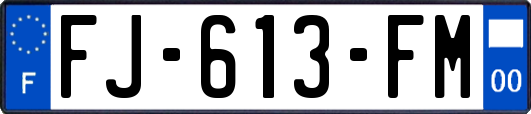 FJ-613-FM