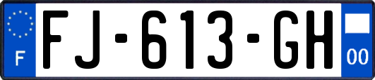 FJ-613-GH