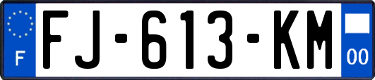 FJ-613-KM
