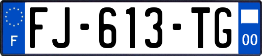 FJ-613-TG