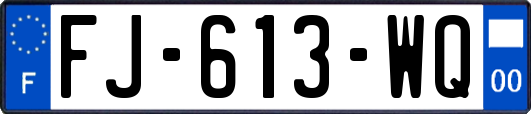 FJ-613-WQ