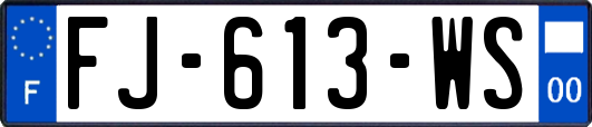 FJ-613-WS