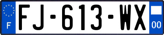 FJ-613-WX