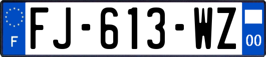 FJ-613-WZ