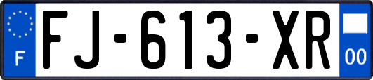 FJ-613-XR