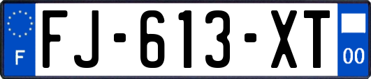 FJ-613-XT