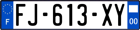 FJ-613-XY