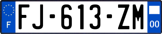 FJ-613-ZM