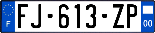 FJ-613-ZP