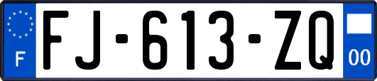 FJ-613-ZQ