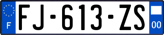 FJ-613-ZS