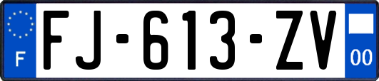 FJ-613-ZV