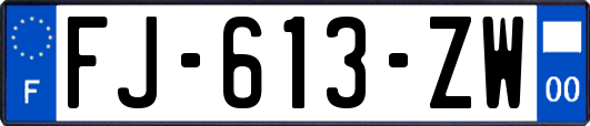 FJ-613-ZW