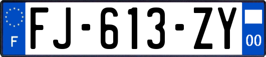 FJ-613-ZY